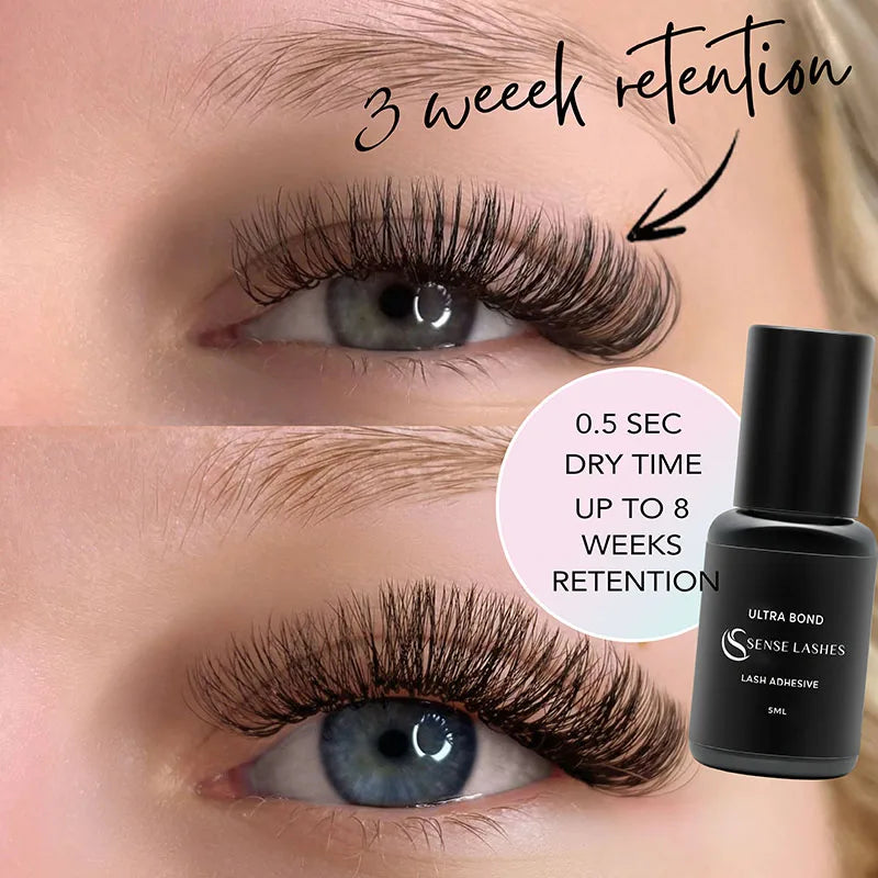 SENSE LASHES 10 Bottles Eyelash Glue 5ml Lash Adhesive Pegamento De Pestañas Adhesivo Extensiones De Pestañas