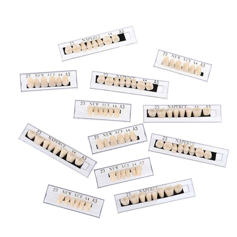 PIORPOY 156Pcs/1Box Dental Teaching Model Dedicated Teeth Care Tool A3 Dental Oral Material Anterior Upper Dentistry Dropship