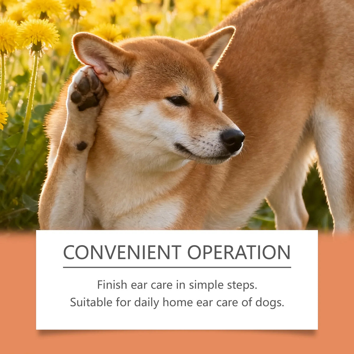 Dog Ear Essence Drops Lasting Reduce Earwax Relieving Discomfort Non Irritating Reducing Dandruff Daily Pet Ear Drops Solution