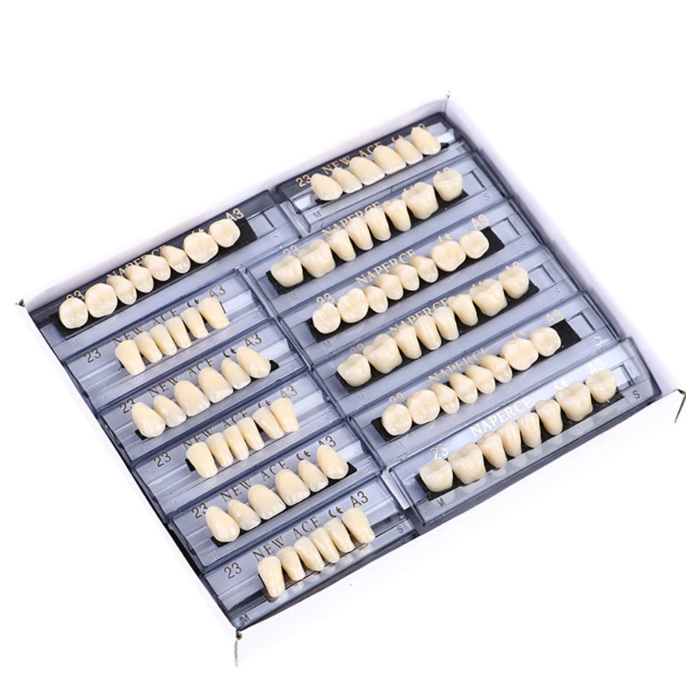 PIORPOY 156Pcs/1Box Dental Teaching Model Dedicated Teeth Care Tool A3 Dental Oral Material Anterior Upper Dentistry Dropship