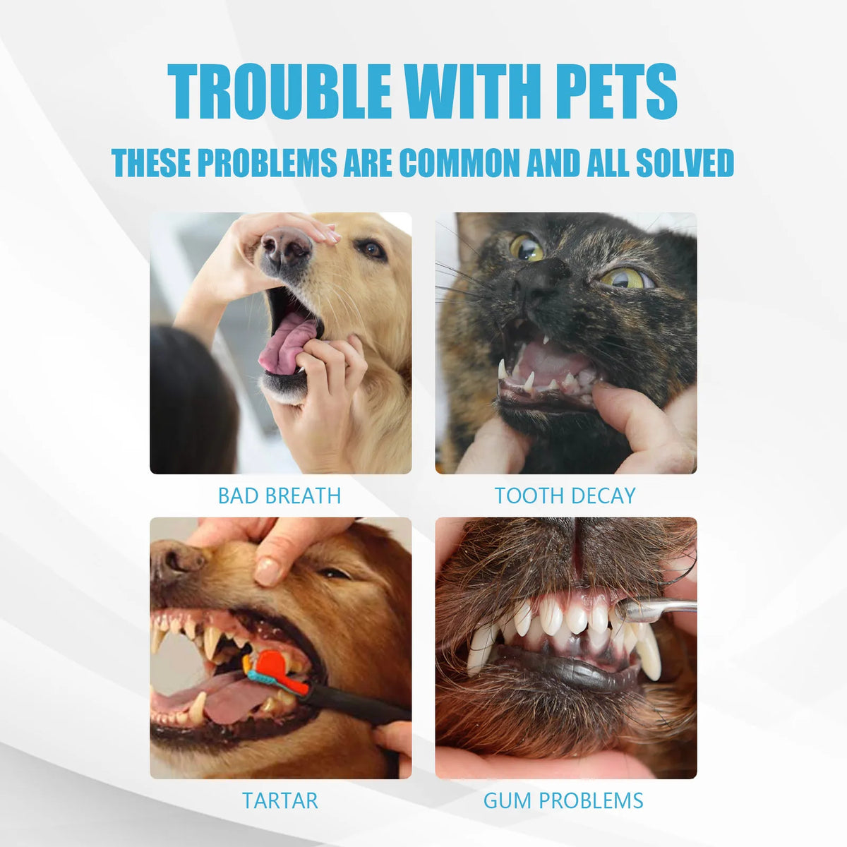 60g Pet Dental Care Toothpaste Plant Fresh Breath Plaque&Tartar Control Edible Oral Care for Dog Cat
