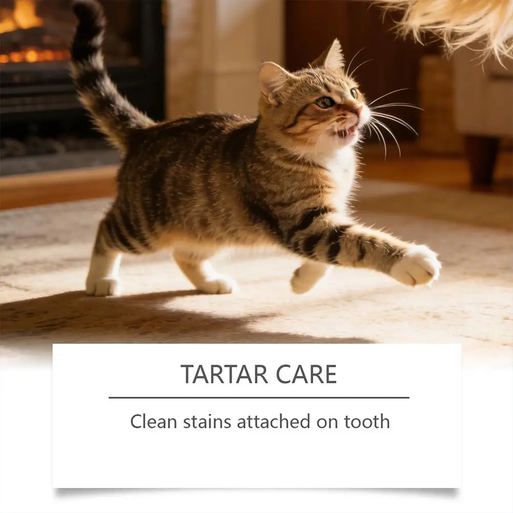 Pet Oral Care Spray for Dogs Cats Dental Breath Freshener 30ml Teeth Cleaner Oral Hygiene Spray Pet Grooming Dental Care Tool