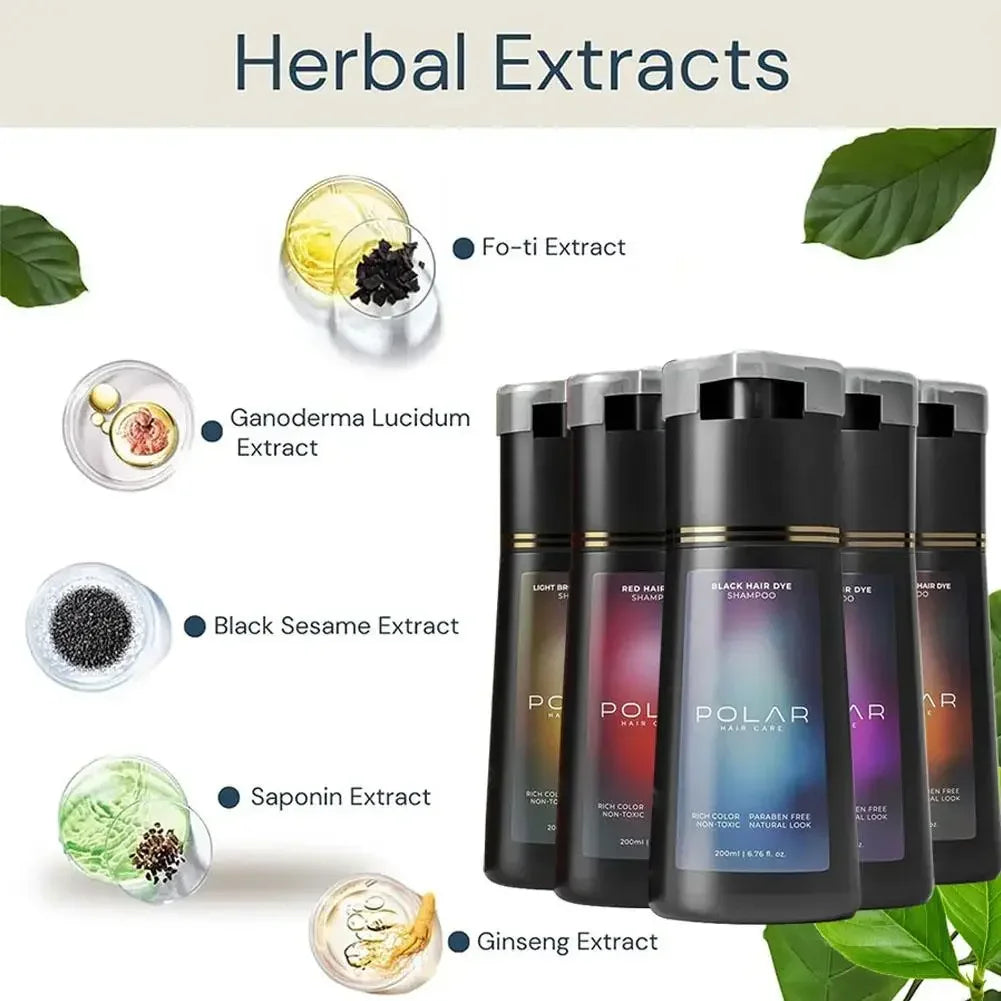 Shampoo De Tintura De Cabelo Para Cabelos Grisalhos Para Mulheres E Homens Kit De Tintura De Cabelo Natural Semi Permanente Sham