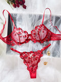 Sexy Sheer Lingerie Set Embroidery Transperant Pornostar Lenceria Sensual Mujer Seducive Conjunto Ropa Interior Set Intimo Lace