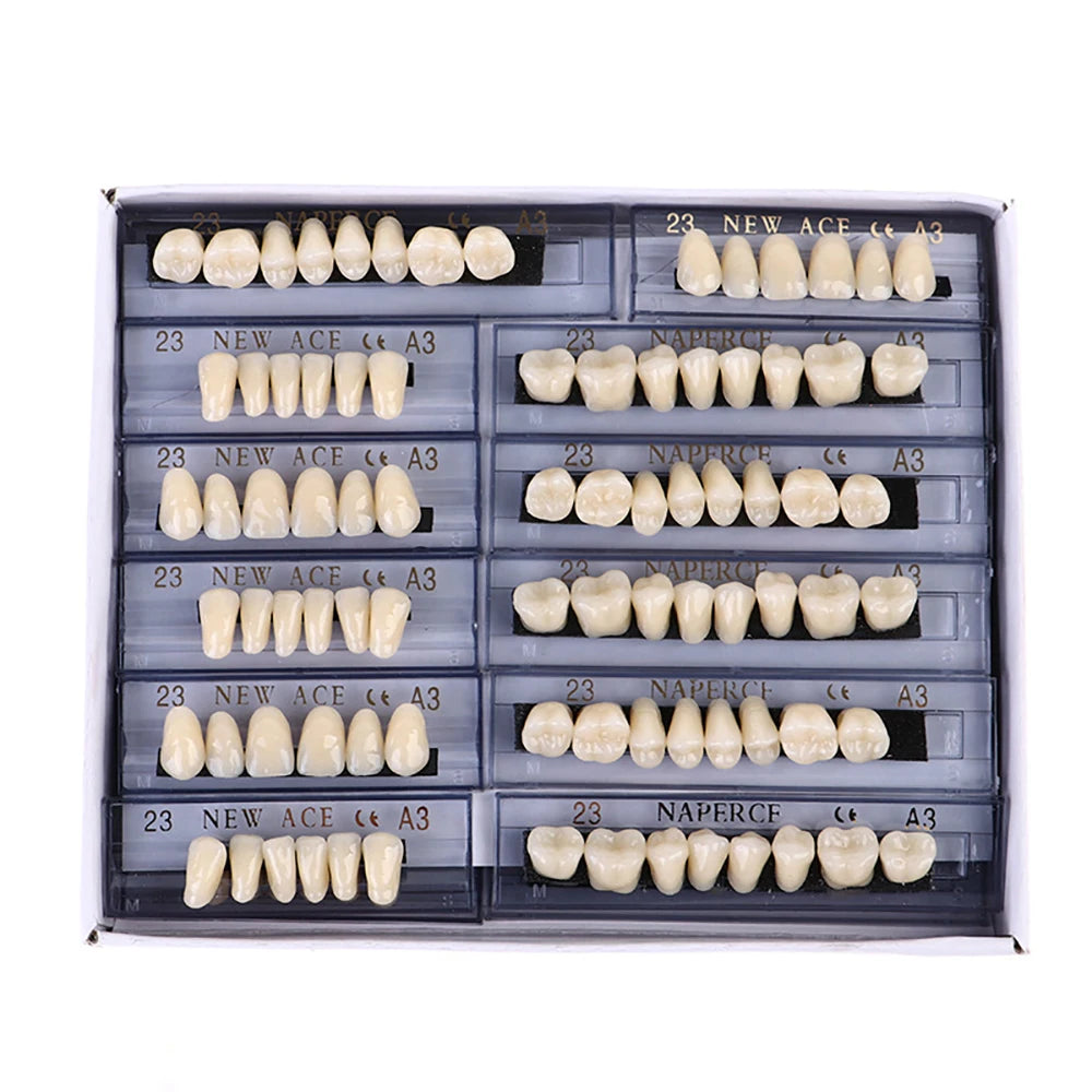 PIORPOY 156Pcs/1Box Dental Teaching Model Dedicated Teeth Care Tool A3 Dental Oral Material Anterior Upper Dentistry Dropship