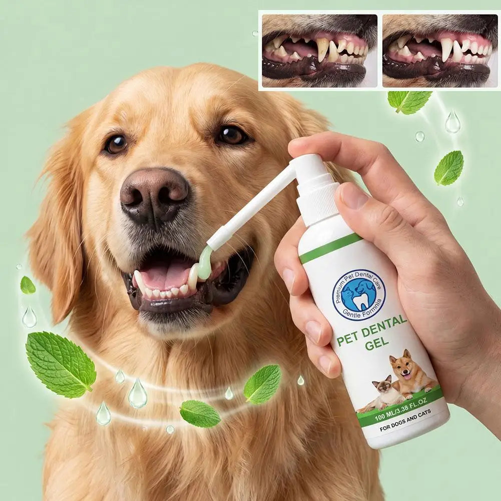 Natural Plant-Based Pet Dental Gel for Dogs & Cats,100ml Tartar & Plaque Remover, Gentle Breath Freshener No-Rinse Oral Care Gel