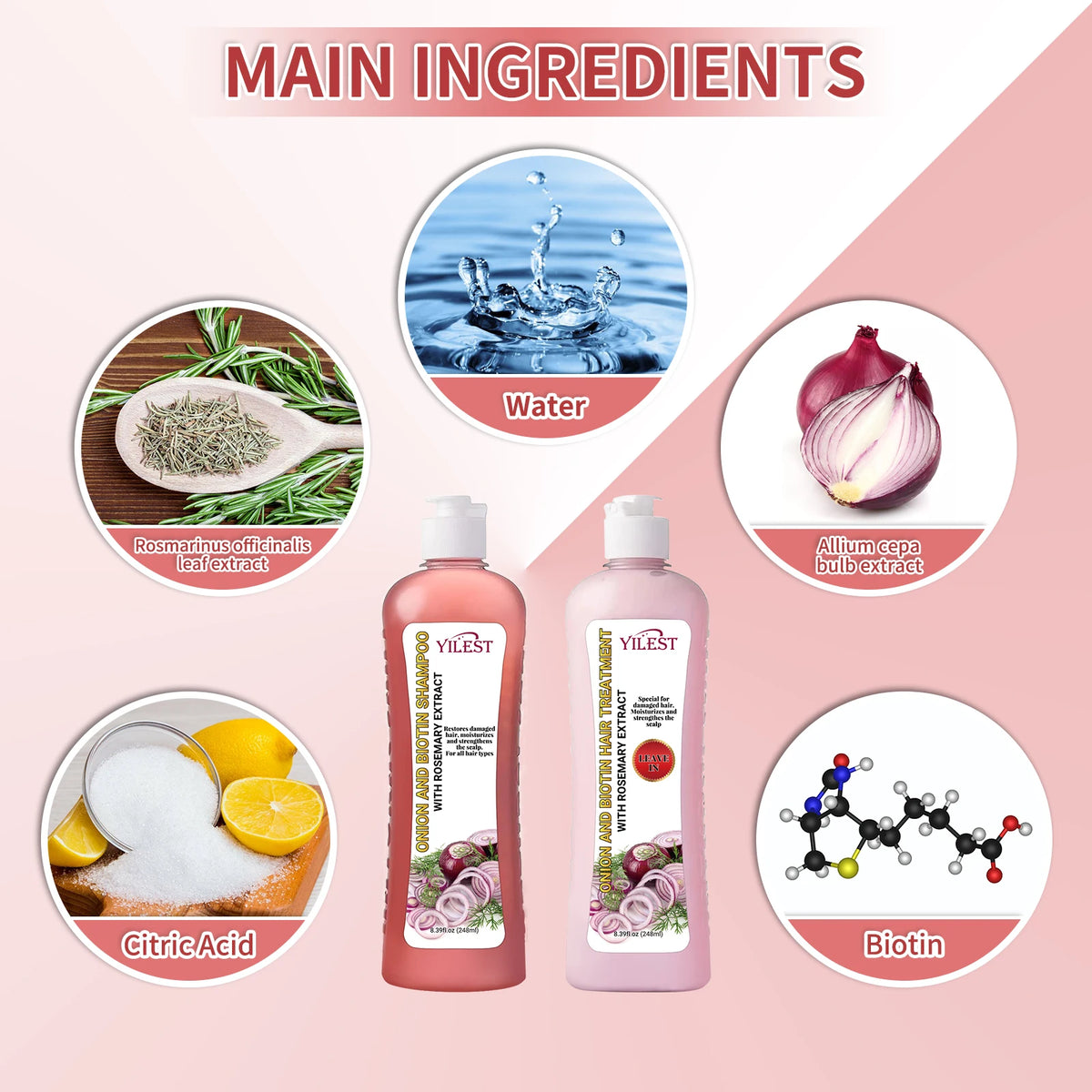 All-in-One Hair Strengthening Shampoo - Rosemary Onion Formula to Combat Hair Loss, Stimulate Growth & Improve Scalp Health.