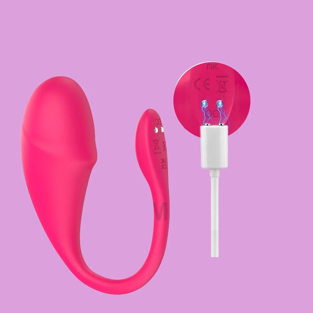 Sex Toy Love Egg Female Masturbation Orgasm Silicone Toy Magnetic Charging 9-Speed Adjustable G-Spot Vibrator Adult Couple's Toy
