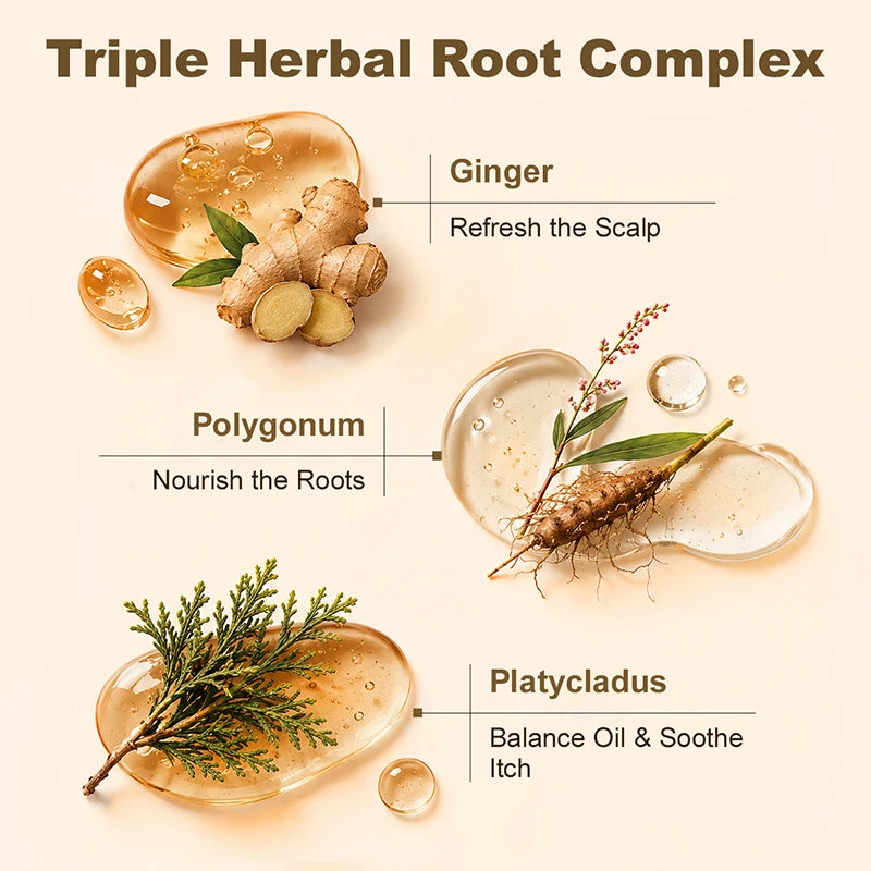 PURC 300ml 5 In 1 Shampoo for hair Natural Ginger Herbal Anti Dandruff Shampoo for Promote Hair Growth and Deeply Nourish