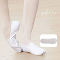 Professional Gymnastics Shoes Ballet Shoes For Girls Whole Leather Sole Standard Yoga Fitness Ballet Shoes Woman Soft Dance Shoe
