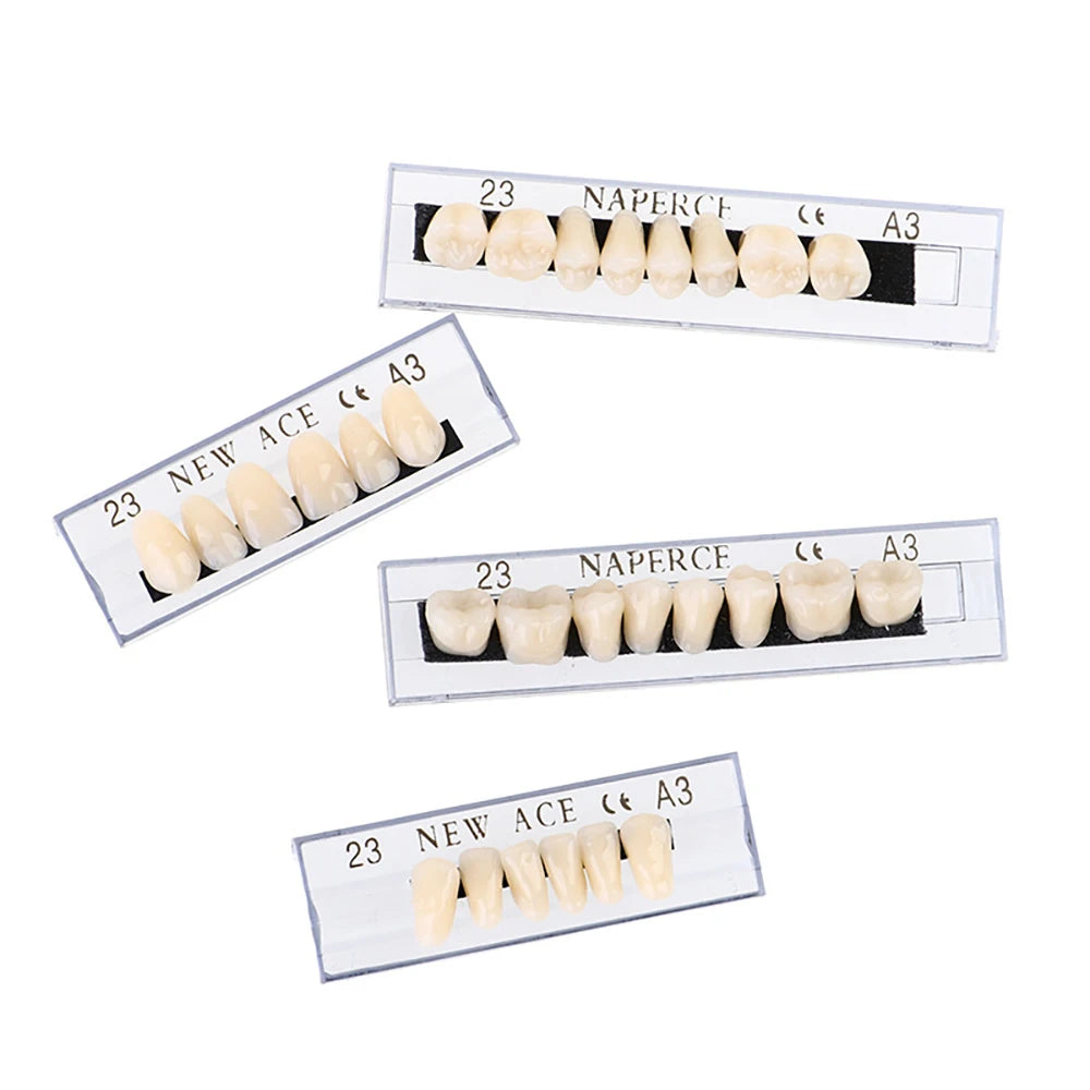 PIORPOY 156Pcs/1Box Dental Teaching Model Dedicated Teeth Care Tool A3 Dental Oral Material Anterior Upper Dentistry Dropship