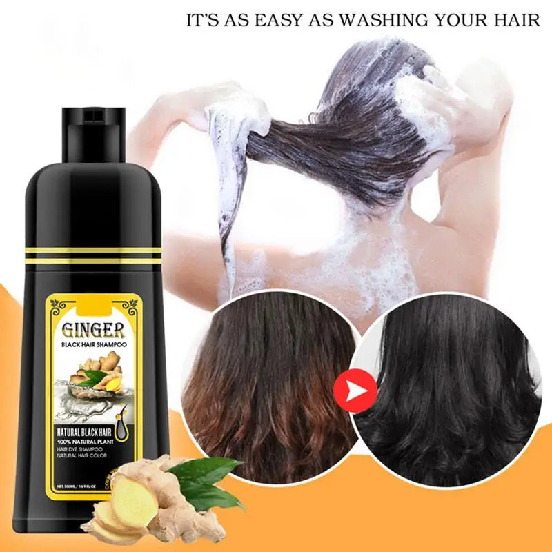 500ml Herbal Hair Dye Black Hair Shampoo Black Hair Color Shampoo Black Hair Dye Covering White Hair Shampoo ginger Shampoo