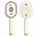 Electric Spray Hair Brush Rechargeable Water Spray Hair Brush Anti-Static Hair Brush Reduce Frizz Electric Steam Massage Comb